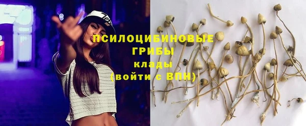 дурь Алексеевка