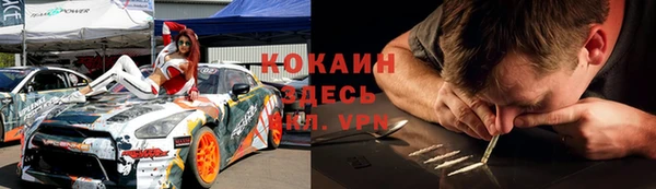 шишки Алексин