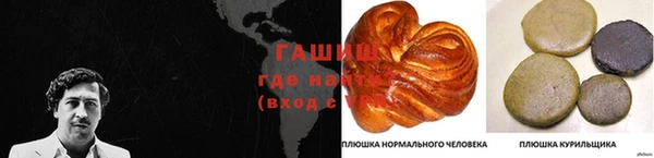 крисы Алзамай