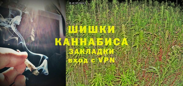 шишки Алексин
