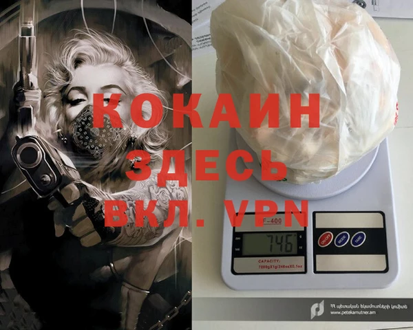 шишки Алексин