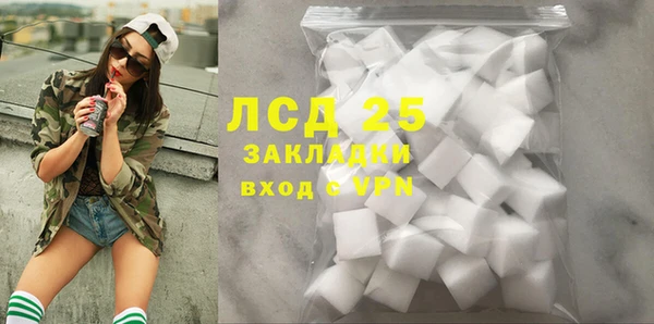крисы Алзамай
