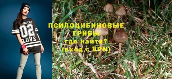 крисы Алзамай