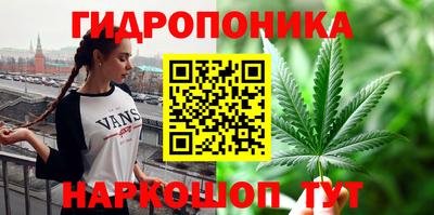 соль ск Аргун