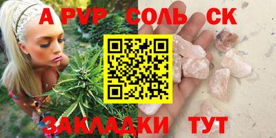 шишки Тверь
