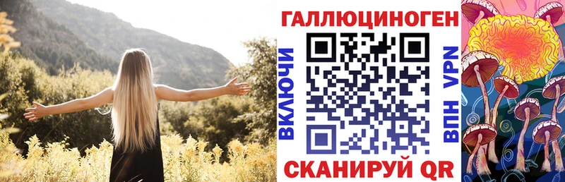 Псилоцибиновые грибы мицелий где продают наркотики Белгород