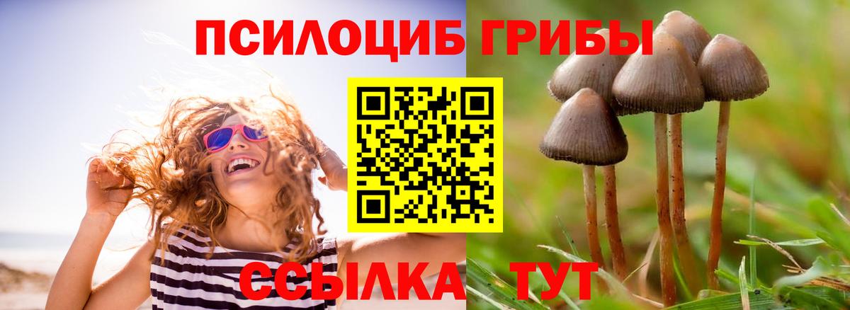 Белгород  как найти   Вход с VPN  Галлюциногенные грибы ЛСД 